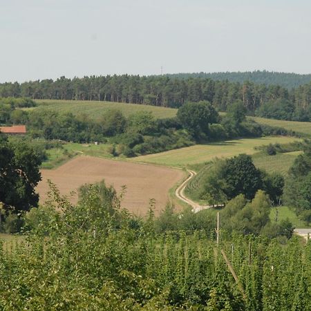 Ferienwohnung Passivhaus "Schoene Aussicht" Georgensgmund 외부 사진