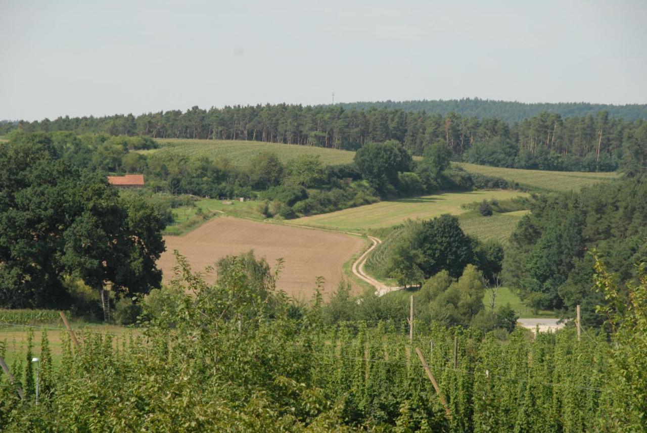 Ferienwohnung Passivhaus "Schoene Aussicht" Georgensgmund 외부 사진